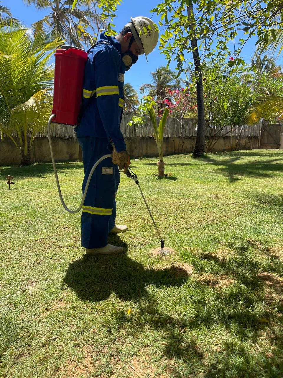 Aplicação profissional em área residencial e jardim