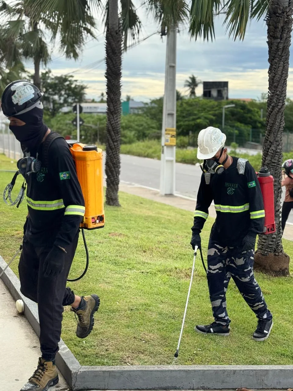 Equipe em aplicação de jardim
