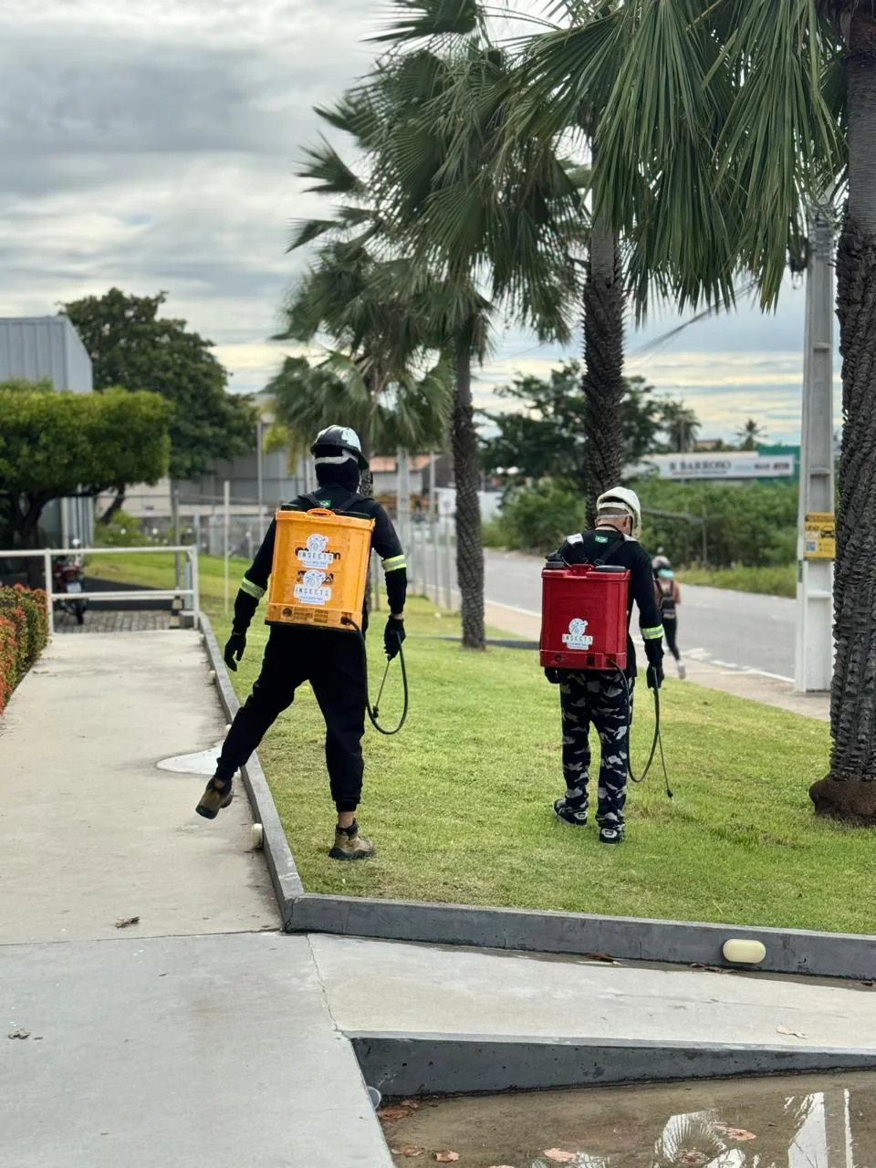 Equipe da Insects em jardim